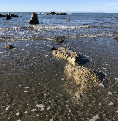 cN4diNVjRK2MPZ1iXV75uA