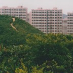 A WALK ACROSS THE ROOFTOPS
