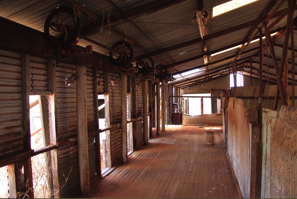 Image 6-02-19 at 11.35 AM