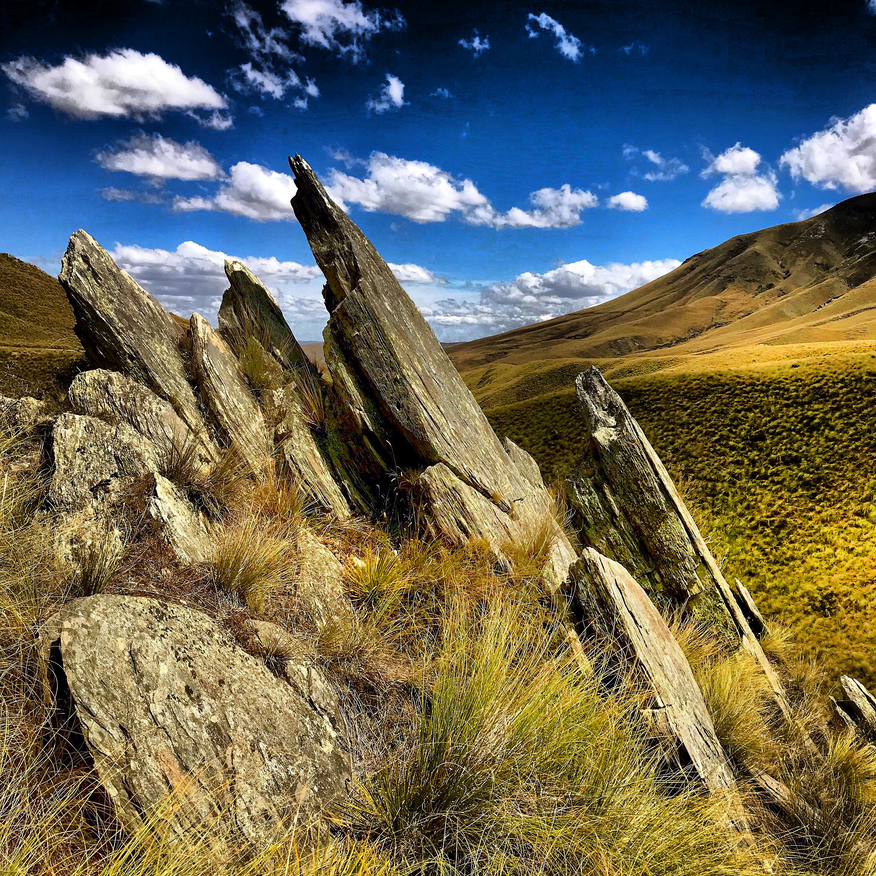 Fangs of rock protrude from the tussocky hillsides of the Danseys Pass on the South Island of New Zealand.