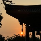 THE BUDDHA’S BIRTHDAY