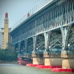 The Bridge Across Forever