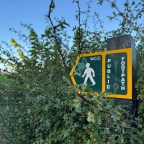 A Walk in the Fields