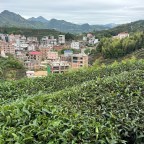 The View Between Villages